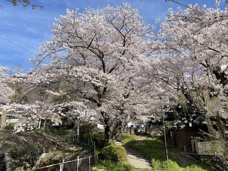 法華寺   (北九州市)