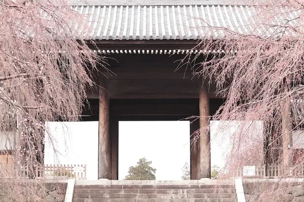 東郷寺
