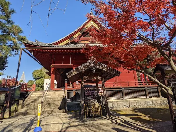 寛永寺清水観音堂