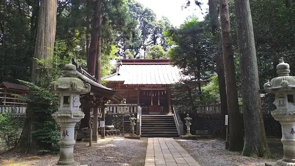 虎柏神社