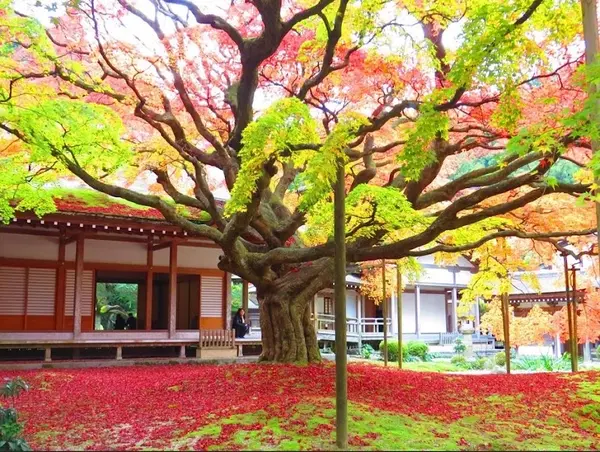 千如寺大悲王院