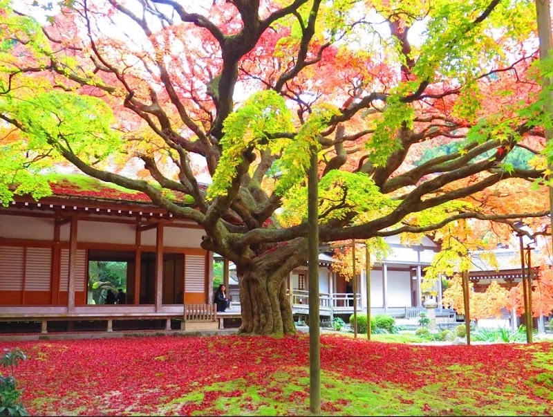 千如寺大悲王院