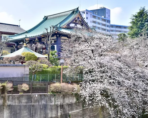 金剛寺 (もみじ寺)