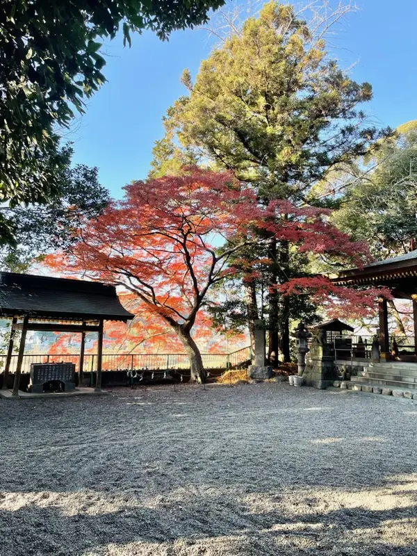 阿蘇神社