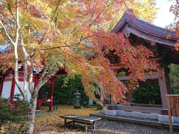 小松寺