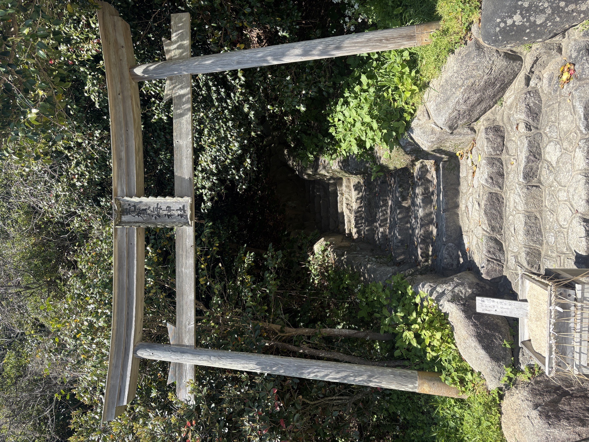 志賀海神社の写真 5