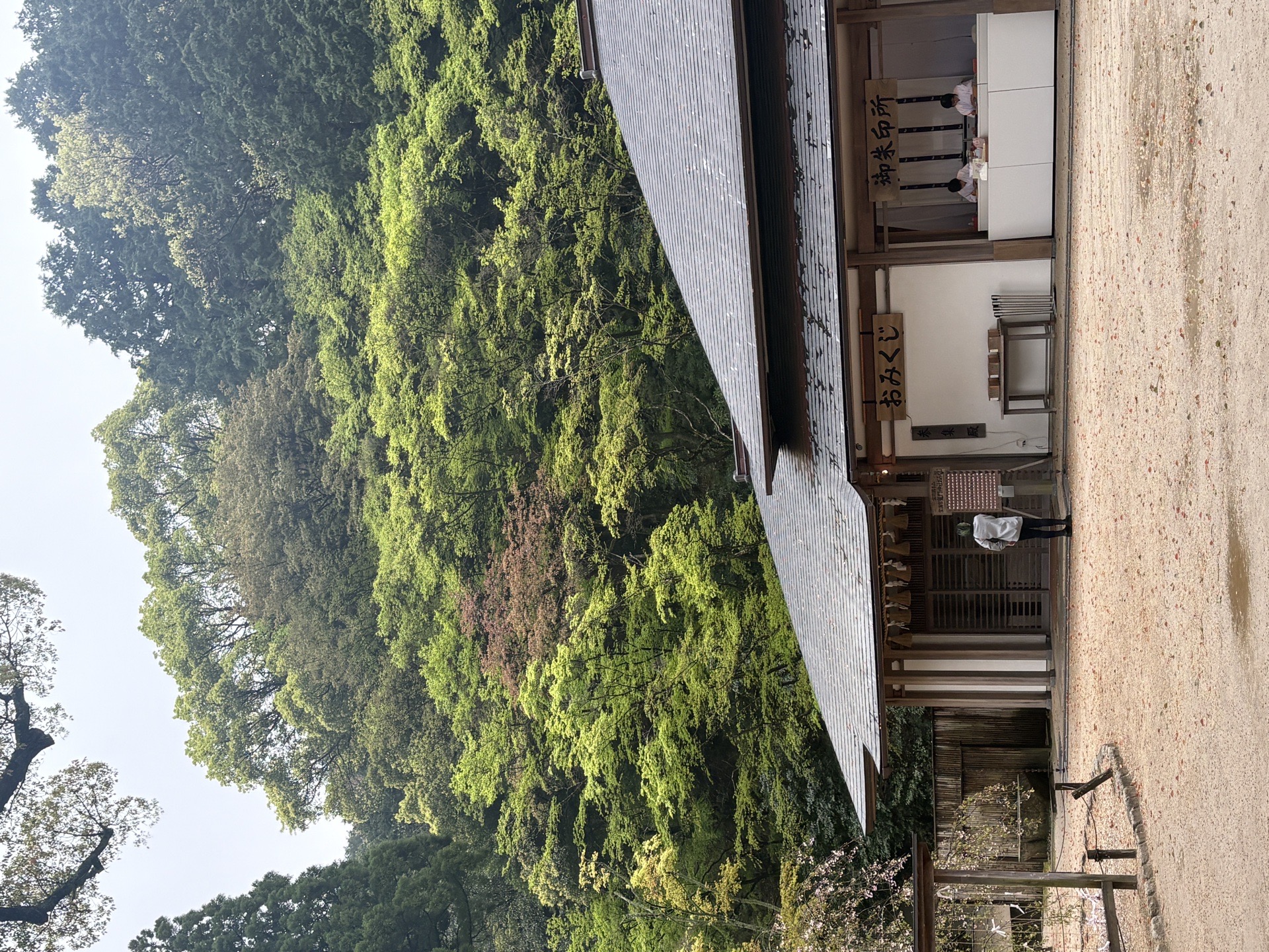 竈門神社の写真 2