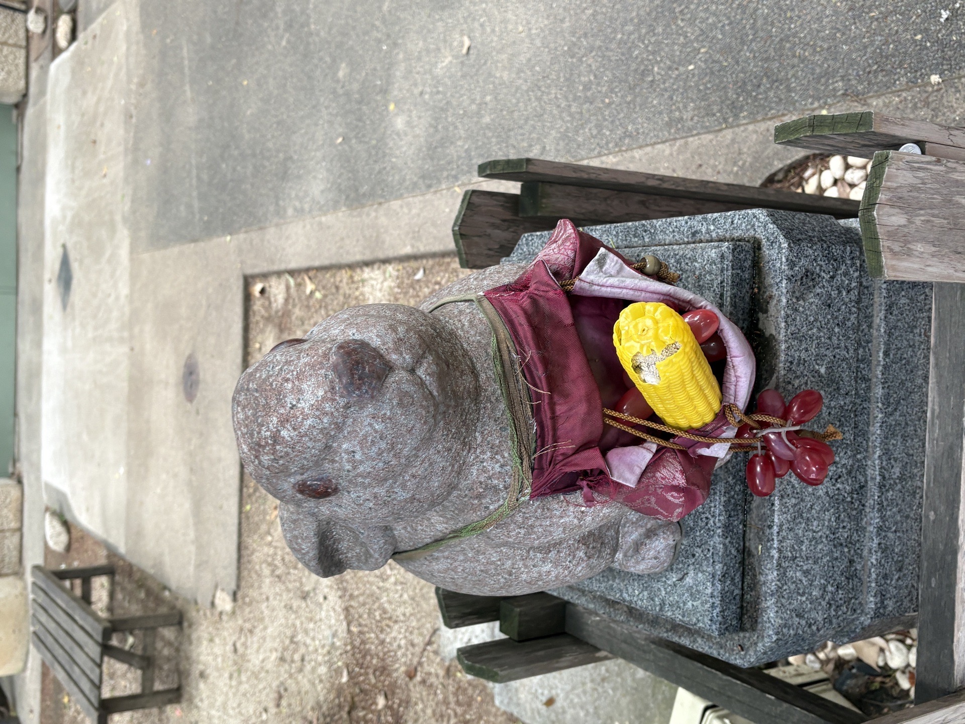 Photo 3