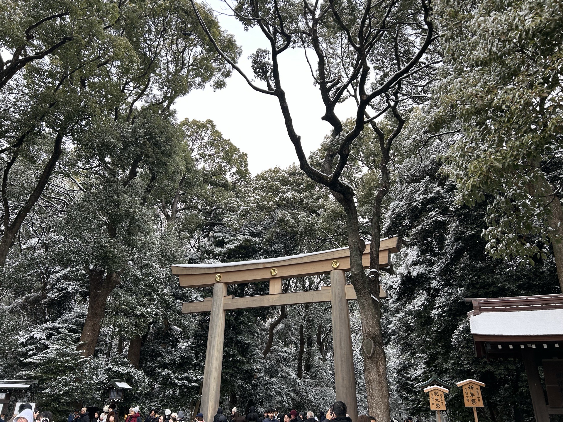 明治神宮の写真 1