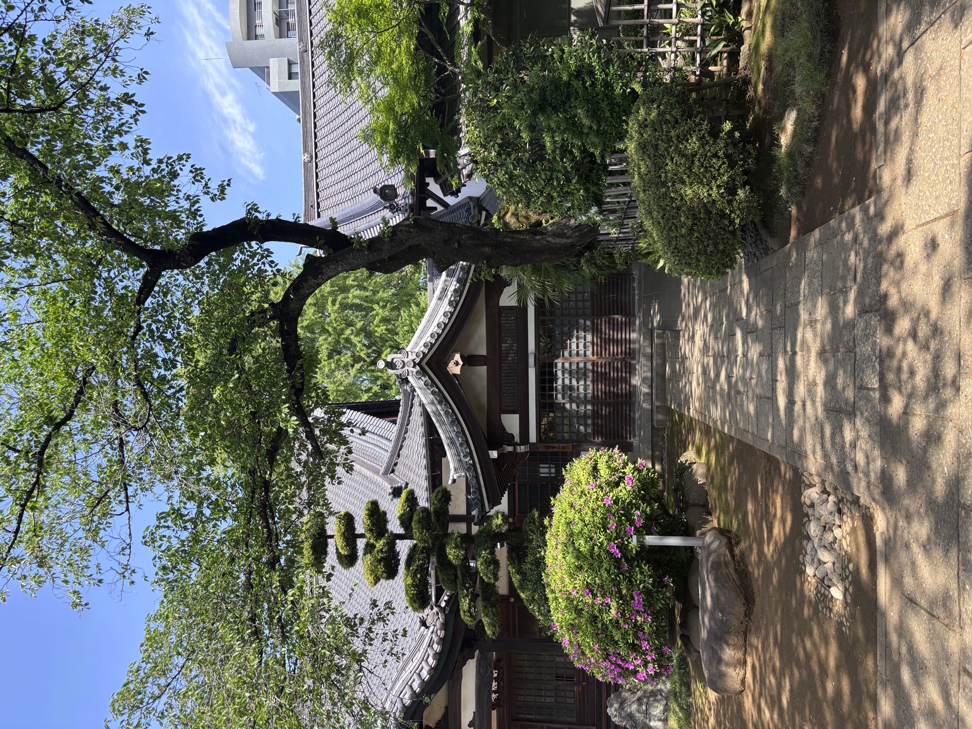 静勝寺の写真 2